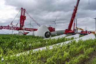 Repowering, dismantled Enercon E-58 wind turbine in a wind farm near Issum, 9 older wind turbines