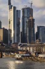 Skyline of the city centre of Frankfurt am Main, river Main, Eiserner Steg bridge, freighter, dusk,