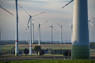 Wind farm near Bad Wünnenberg, Ostwestfalen Lippe, along the A44 motorway, North Rhine-Westphalia,