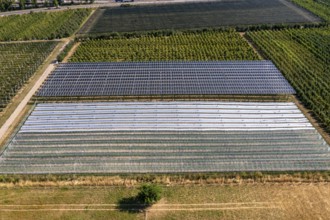 Agri-photovoltaic test plant, an apple orchard with two different systems of PV modules was roofed