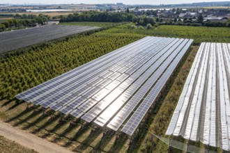 Agri-photovoltaic test plant, an apple orchard with two different systems of PV modules was roofed