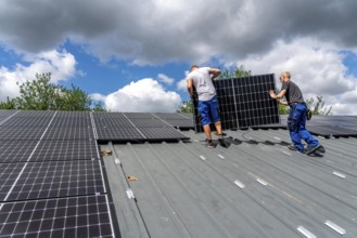 Installation of solar modules on the roof of a barn on a farm, over 210 photovoltaic modules are