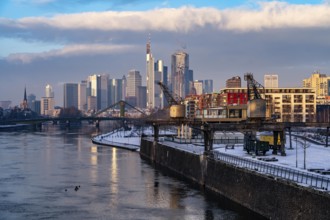 The skyline of Frankfurt am Main, skyscrapers of the banking district, historic harbour cranes at