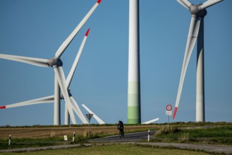 Wind farm near Lichtenau, wind turbines, country road, Driburger Straße, cyclist, North