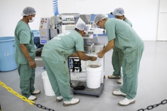 Employees of the Santarem Ecological Centre near Copaiba Oil, production. Santarem, 19.07.2024.