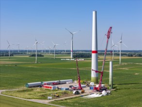 Repowering of a wind farm near Issum, here the dismantling of the tower, 9 older wind turbines from