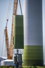 Repowering of a wind farm near Issum, here the dismantling of the tower, 9 older wind turbines from