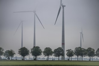 Wind farm north-east of Kerken, Lower Rhine, in the fog, country road, North Rhine-Westphalia,