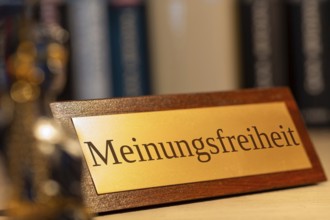 Symbolic image of freedom of opinion in Germany: close-up of a brass sign with the word FREEDOM OF