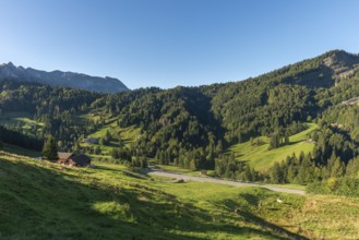 Urnäsch, Alpine pasture, Forest, Canton Appenzell, Ausserrhoden, Appenzell Alps, Switzerland,