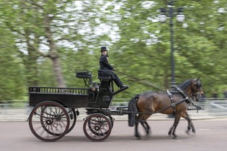 Horse-drawn carriage, Trooping the colour, military parade in June in honour of the British