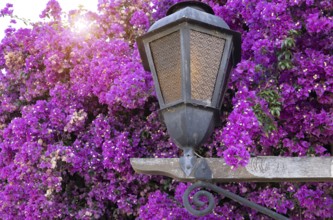 Uruguay, colonial streets of Colonia Del Sacramento in historic center of Barrio Historico, South