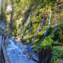 A crystal-clear river flows through moss-covered rocks and trees in a tranquil natural landscape,