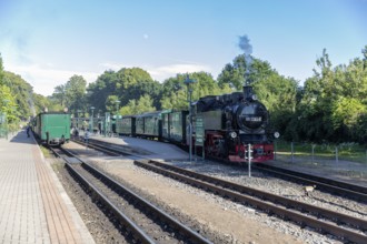 Train waiting at the station, surrounded by green nature and blue sky, Rügen, Rasender Roland