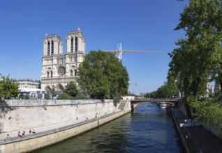 Notre Dame Cathedral on a sunny day with trees and a bridge on the riverside, Paris