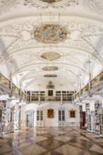 Richly decorated library in Baroque style, Salem Castle, former imperial abbey, former monastery of