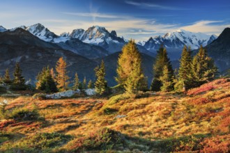 View of the Aiguille Verte and Mont Blanc in the first morning light in the Savoy, France, Europe