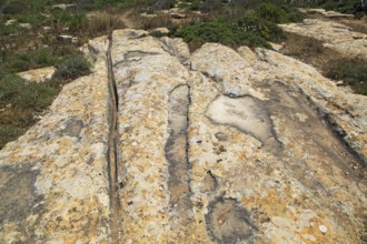 Prehistoric cart ruts tracks in limestone rock at Ta Cenc, Gozo, Malta, Europe