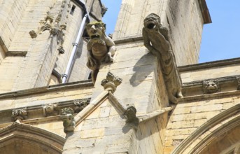 Gargoyles on Ely cathedral church, Ely, Cambridgeshire, England, UK