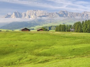 Spring on the Seiser Alm, Alpine huts with rose garden, fog, Dolomites, South Tyrol