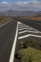 Chevron road lines on main highway through Malpaís Grande national park, Fuerteventura, Canary