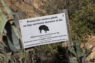 Wild boar protection sign Sierra Alhamilla mountains around village of Nijar, Almeria, Spain,