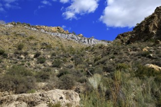 Countryside landscape, near Huebro, Ruta del Agua, Sierra Alhamilla mountains, Nijar, Almeria,