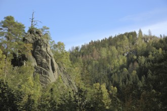 Adlerklippe in Okertal, cliff, rocks, forest, landscape, nature, Harz, Lower Saxony, Germany,