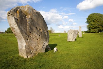 Neolithic stone circle and henge at Avebury, Wiltshire, England, UK