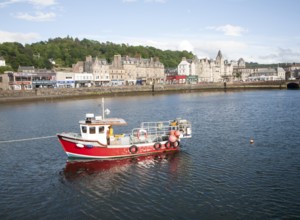 Fishing boat in harbour Oban, Argyll and Bute, Scotland, UK