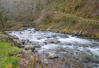 Confluence of East Lyn River and Hoar Oak water at Watersmeet, Exmoor national park, near Lynmouth,