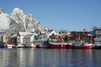 Henningsvaer on the Lofoten Islands in winter, Henningsvaer, Norway, Scandinavia, Europe