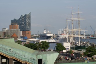 Europe, Germany, Hamburg, Elbe, harbour, Elbe Philharmonic Hall, passenger ship Mein Schiff 1,