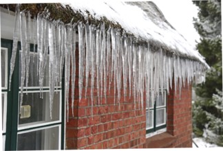 Europe Germany Lower Saxony Stade district, snow, winter, icicles, Federal Republic of Germany