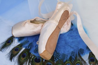 Ballet shoes, pointe shoes on peacock feathers, still life, dance shoes covered with satin in light