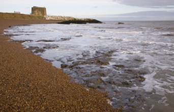 London Clay wave cut platform exposed at low tide on the beach at East Lane, Bawdsey, Suffolk,