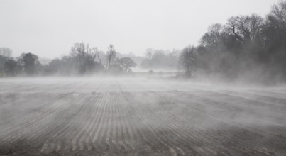 Morning fog clearing from wet fields, Alderton, Suffolk, England, United Kingdom, Europe