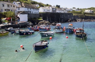 Fishing boats in the harbour at Coverack, Lizard Peninsula, Cornwall, England, UK