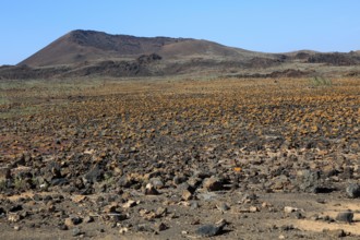 Rocky volcanic badlands 'malpais' landscape, Malpaís Grande national park, Fuerteventura, Canary