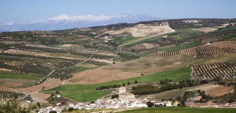 Alhama de Granada, Spain in Andalucian farming landscape of fields and rolling hills