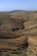 Bare moon-like arid landscape in mountains between Pajara and La Pared, Fuerteventura, Canary