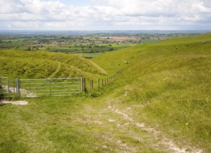 Chalk scarp slope with dry valleys at Roundway Hill, a special place for wildlife, near Devizes,