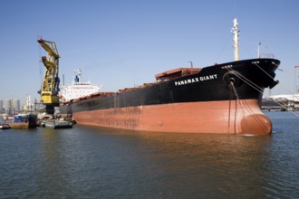 Cargo ship 'Panamax Giant' in shipyard at Botlek, Port of Rotterdam, Netherlands