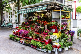 Viale XX Settembre promenade, Trieste, harbour city on the Adriatic, Friuli, Italy, Trieste,