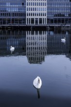 Phönixsee Dortmund, 05.04.2024. Artificially created lake on the former steelworks site of the