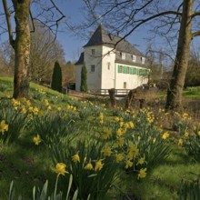 Goldberg Mill in spring, historical sight, Mettmann, Bergisches Land, North Rhine-Westphalia,