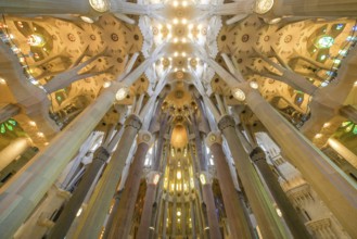 Nave, ceiling vault, columns, Sagrada Familia, Basilica by Antoni Gaudi, Barcelona, Catalonia,