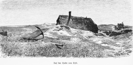 Heath on Sylt, North Frisia, Schleswig-Holstein, reed house, dune landscape, anchor, lonely,