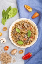 Spelt (dinkel wheat) porridge with vegetables and mushrooms on ceramic plate on a gray concrete