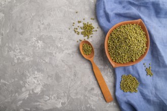 Clay bowl with raw green mung bean and wooden spoon on a gray concrete background and blue textile.